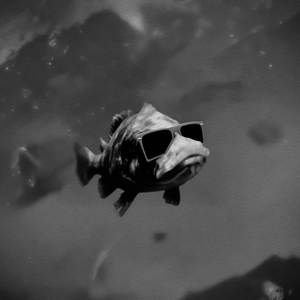 СКИТ С ВОЕННОГО ОБЪЕКТА