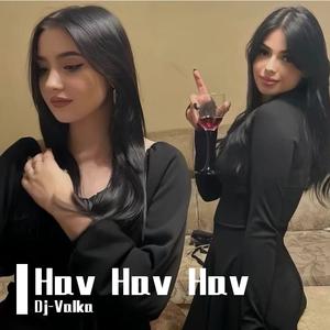 HavHavHav