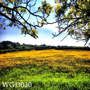 The World Keeps Turning (Dj Tipz Remix)