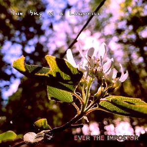 The Sky is a Landfill