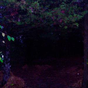 stage fright (feat. A.C!)