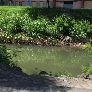 Slime'd Out (feat. Texako & CPAIN)