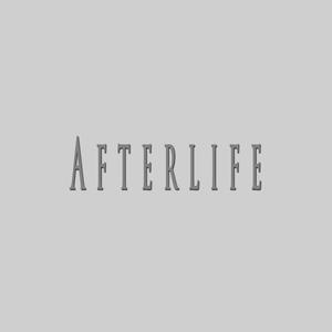 Afterlife (feat. Lykan)