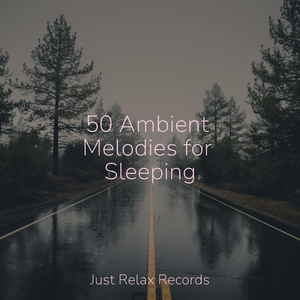 Echoes of Solitary Guardianship