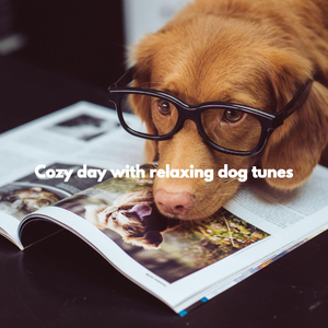 Exciting Trained Doggy