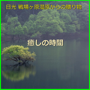 癒しの時間 ～日光 戦場ヶ原湿原からの贈り物～ （小鳥の歌声と優しい小川のハーモニー）現地収録