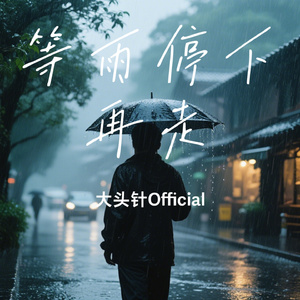 等雨停下再走