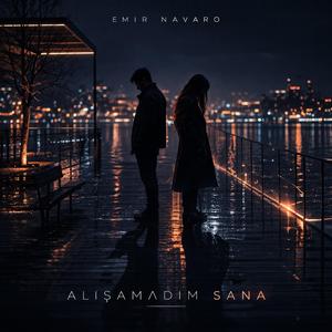 Alışamadım sana