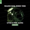 Walden - Lyter (I Feel Alive) (Scorsi Remix)