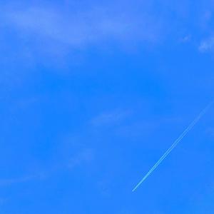 memories of not running away