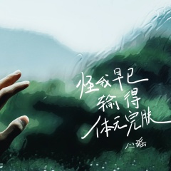 怪我早已输得体无完肤 (DJBanan版)