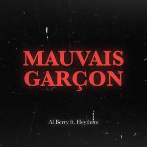 Vivement Dimanche : Mauvais Garçon (feat. Heythem)