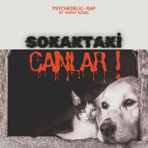 Sokaktaki canlar (Radio Edit)