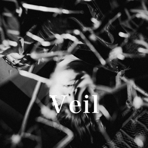 Veil