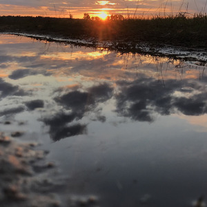 Reflect