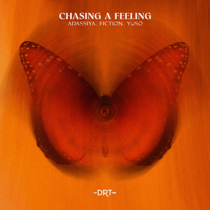 Chasing A Feeling