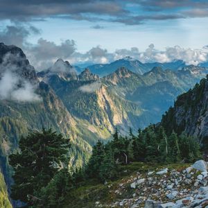 爱上你是条不归路