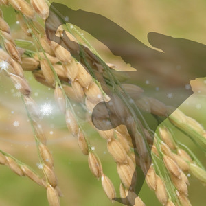 geng mai! (feat. Potemking)