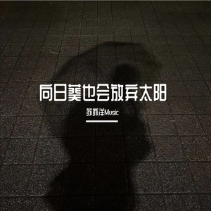 我在等风也等你