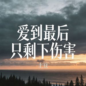 爱到最后只剩下伤害