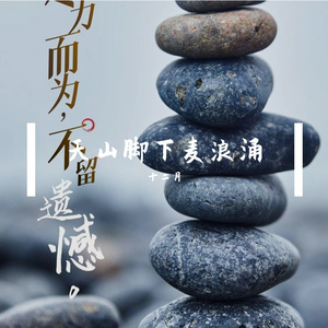 天山脚下麦浪涌