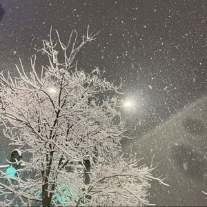 雪 Distance