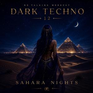 Sahara Nights
