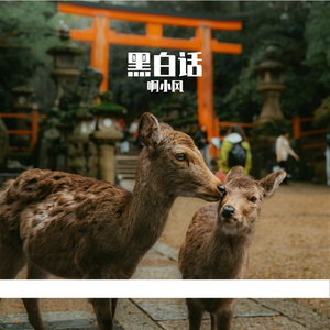 你的新房，他的新郎