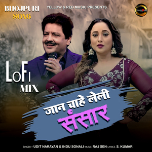 Jaan Chahe Leli E Sansaar (Lofi Mix)