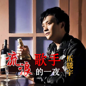 流浪歌手的一夜
