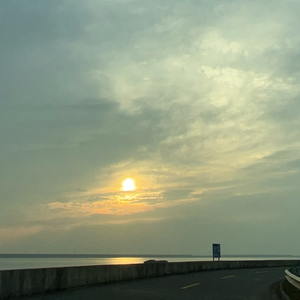 我对你的喜欢下了一场暴雨