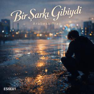 Bir şarkı gibiydi