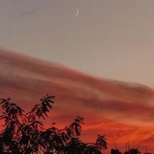 心跳考古学relax