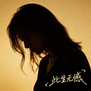此生无憾 (小幸运 Remix)