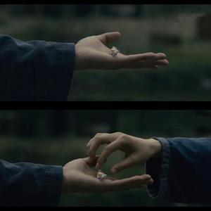 山楂树之恋（翻自 大能人）