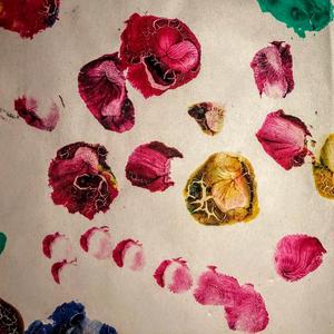 Complexion (Tetra Remix)