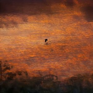 褪色的和弦-心之所向