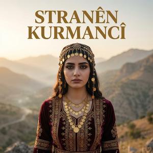 Ez bûm xerîbê dildariyê, dilê min birîndar e