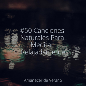 Susurrando Árboles Lullaby