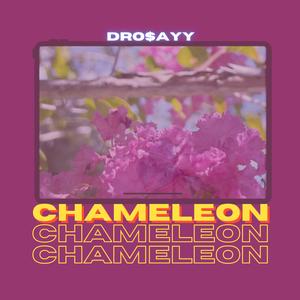 CHAMELEON