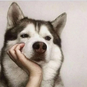 雨中华尔兹（翻自 伍々慧）