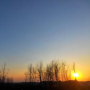 每当我站在阳光下