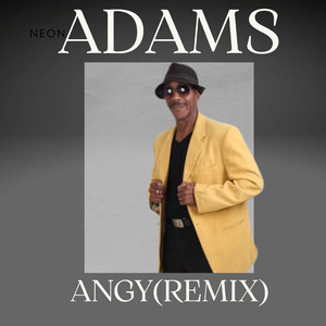 Angy (Remix)