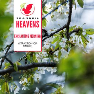 Monochrome Owl Chorus