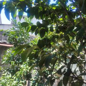 你让我走进爱情的深渊