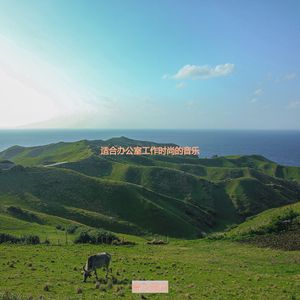 在家里工作抚慰的波萨诺伐舞曲