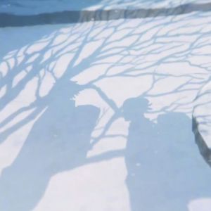 カナリヤ(金丝雀) Re ver.