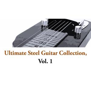 Herbie's Steel Guitar Polka