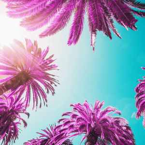 优美早上休息器乐