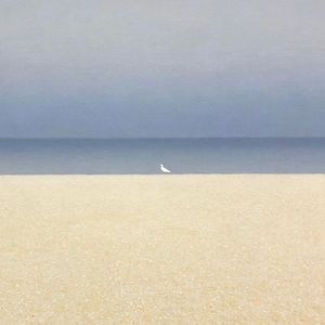 昨晚我梦见我学会了游泳